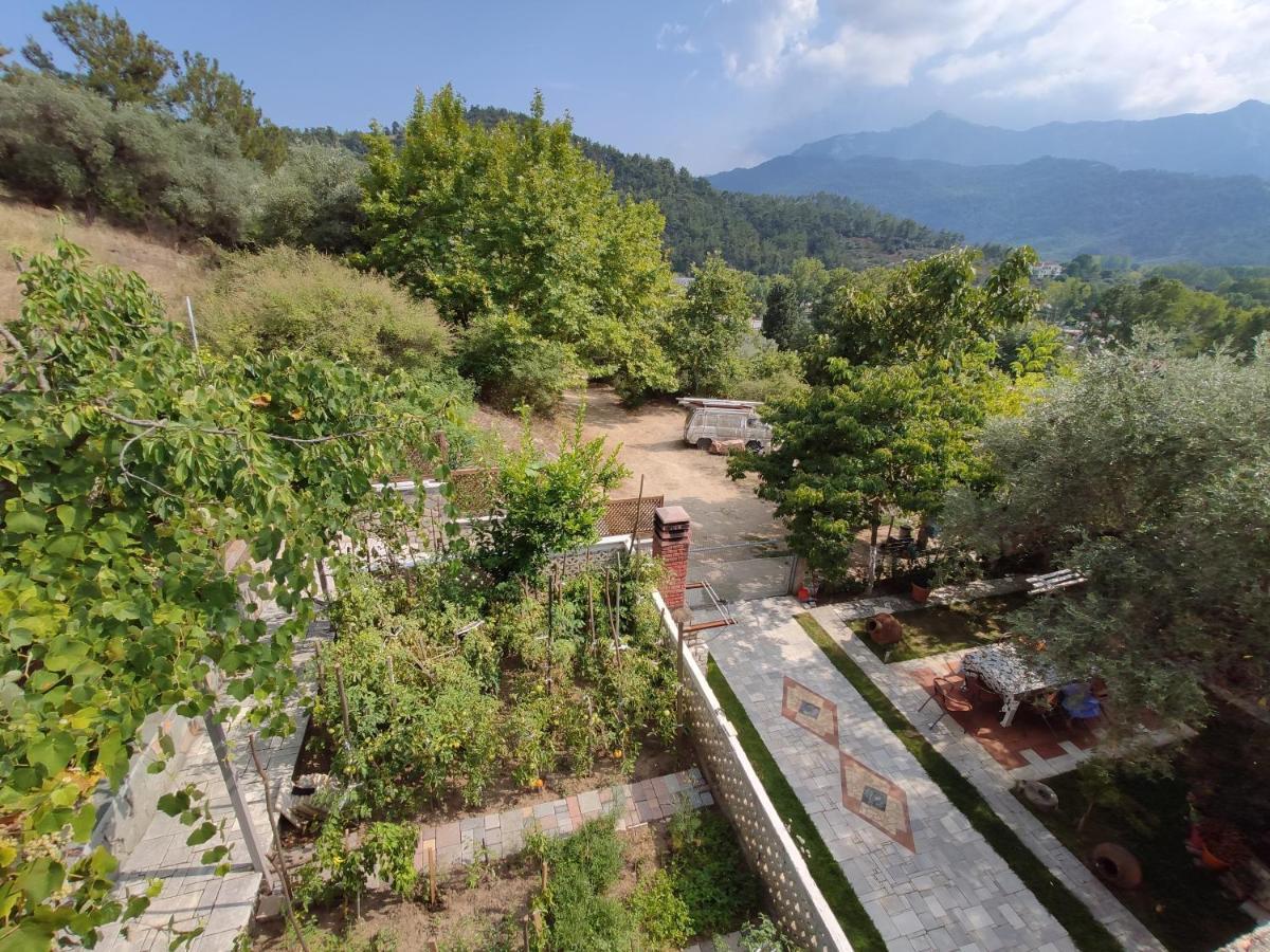 Elpida Apartment 리메나스 외부 사진